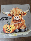 Hey There Highland baby highland cow with jack-o-lantern Halloween shirt decal