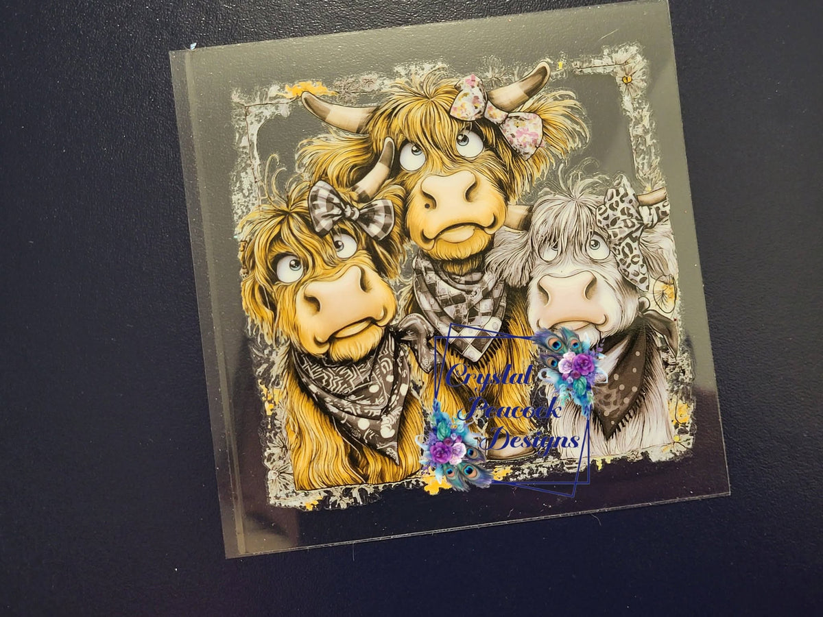 Three Amigos Highland Cow Decal - three goofy highland cows with gingham floral and leopard bows and bandanas in vintage frame