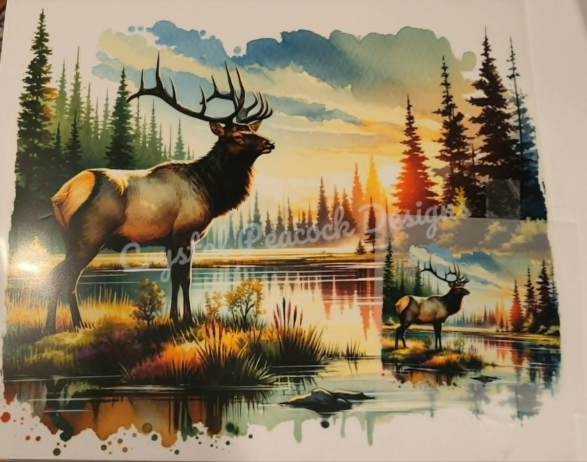 Watercolor elk at sunset lake front and back shirt decal with two bull elk pine trees and golden sky